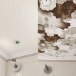 A clean and modern bathroom ceiling with visible signs of mold growth, highlighting the issue of mold on bathroom ceiling.